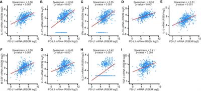 Regulation of PD-L1 expression in non–small cell lung cancer by interleukin-1β